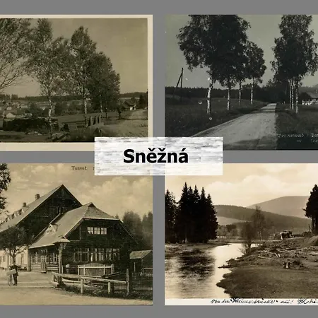 Sněžná