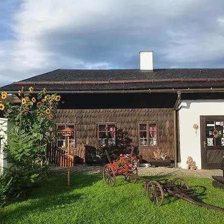 Sněžná