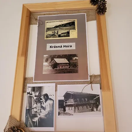 Sněžná Penzion *