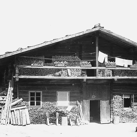 Guest house Snezna 3*