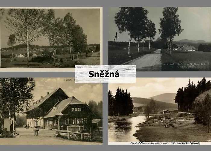 Sněžná